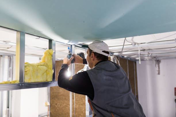 Best Types of Insulation in Columbus, TX