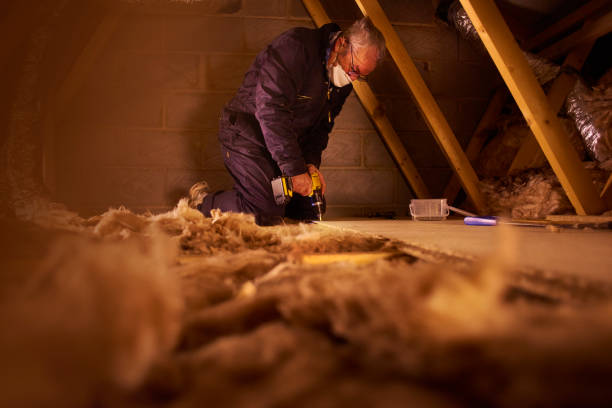 Best Insulation Maintenance and Repair in Columbus, TX